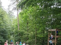 505 Mit dem Förster Pflanzen und Tiere erleben (1)