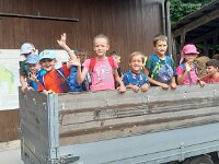 513 Walderlebnisse (1)