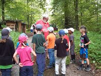 513 Walderlebnisse (3)