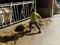 515 Besuch beim Bauern