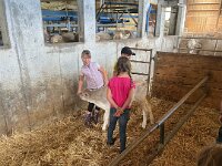 515 Besuch beim Bauern (3)