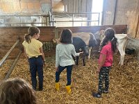 515 Besuch beim Bauern (4)