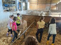 515 Besuch beim Bauern (5)