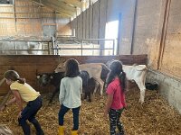 515 Besuch beim Bauern (6)