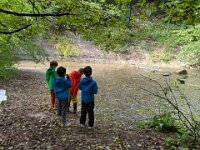 520 Bei Feuersalamander und Buntspecht