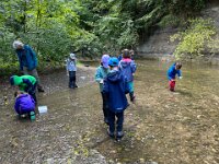 520 Bei Feuersalamander und Buntspecht (2)