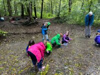 520 Bei Feuersalamander und Buntspecht (3)