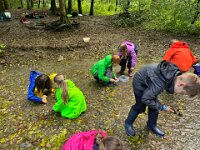520 Bei Feuersalamander und Buntspecht (4)