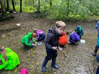 520 Bei Feuersalamander und Buntspecht (5)