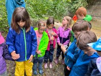 520 Bei Feuersalamander und Buntspecht (6)