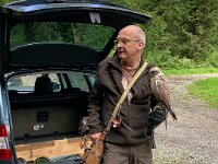 522 Von Falken und anderen Greifvögeln (1)