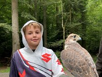 522 Von Falken und anderen Greifvögeln (10)