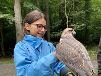 522 Von Falken und anderen Greifvögeln (12)