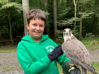 522 Von Falken und anderen Greifvögeln (14)