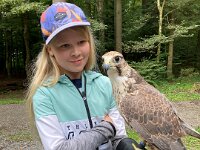 522 Von Falken und anderen Greifvögeln (15)