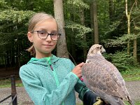 522 Von Falken und anderen Greifvögeln (17)