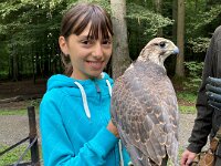 522 Von Falken und anderen Greifvögeln (18)