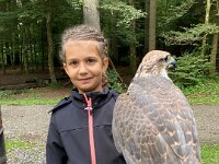 522 Von Falken und anderen Greifvögeln (19)