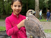 522 Von Falken und anderen Greifvögeln (21)