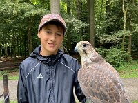 522 Von Falken und anderen Greifvögeln (22)