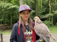 522 Von Falken und anderen Greifvögeln (23)