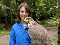 522 Von Falken und anderen Greifvögeln (24)