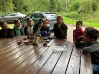 522 Von Falken und anderen Greifvögeln (3)