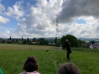 522 Von Falken und anderen Greifvögeln (4)