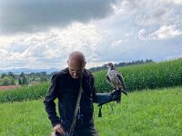 522 Von Falken und anderen Greifvögeln (5)
