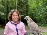 522 Von Falken und anderen Greifvögeln (7)