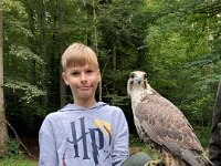 522 Von Falken und anderen Greifvögeln (8)