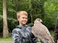 522 Von Falken und anderen Greifvögeln (9)