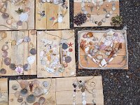 228 Bild aus Strandschätzen