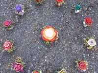 283 Farbenspiel Rose