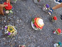 283 Farbenspiel Rose (3)