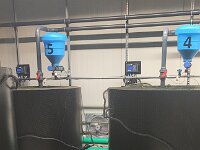 345 Freiämter Lachs - Flammlachs kochen 1