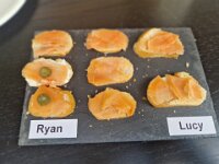 345 Freiämter Lachs - Flammlachs kochen 13