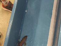 345 Freiämter Lachs - Flammlachs kochen 3