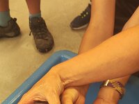 345 Freiämter Lachs - Flammlachs kochen 4