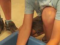 345 Freiämter Lachs - Flammlachs kochen 5