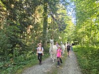 512 Lama-Trekking mit bräteln am Lagerfeuer 12