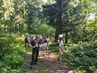 512 Lama-Trekking mit bräteln am Lagerfeuer 13