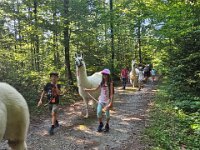 512 Lama-Trekking mit bräteln am Lagerfeuer 15