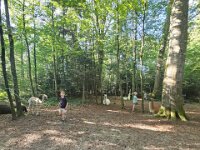 512 Lama-Trekking mit bräteln am Lagerfeuer 16