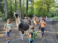 512 Lama-Trekking mit bräteln am Lagerfeuer 17