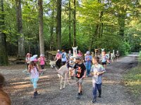 512 Lama-Trekking mit bräteln am Lagerfeuer 18