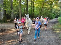 512 Lama-Trekking mit bräteln am Lagerfeuer 19