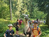 512 Lama-Trekking mit bräteln am Lagerfeuer 2