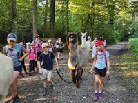 512 Lama-Trekking mit bräteln am Lagerfeuer 20