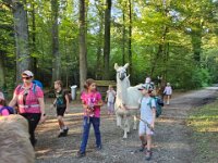 512 Lama-Trekking mit bräteln am Lagerfeuer 21